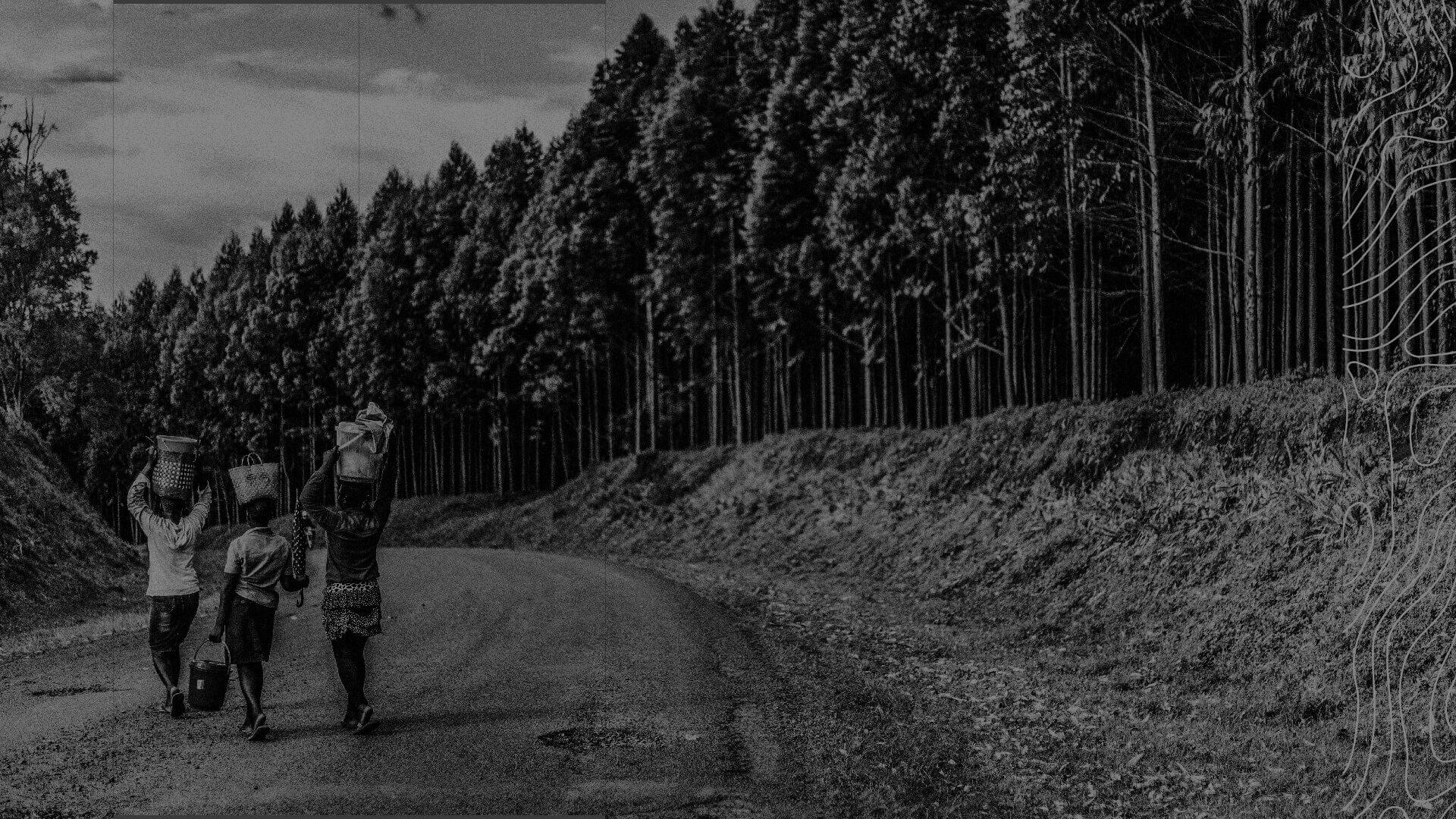 Three people walk along a rural road, carrying items on their heads, beside a dense forest of tall trees. The scene is in black and white.