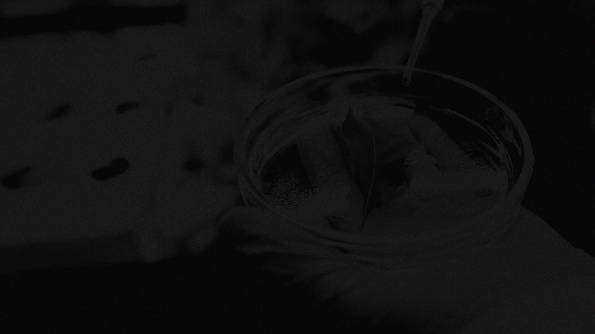 Gloved hand holding a petri dish with a leaf inside, while a dropper adds liquid, suggesting a scientific experiment or study.